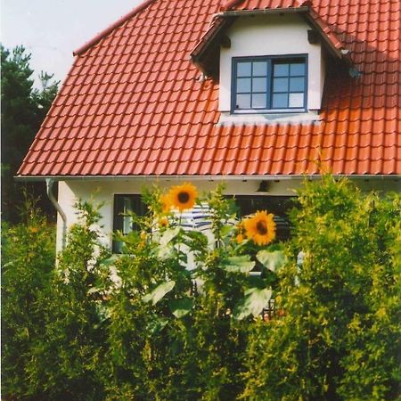 Appartamento Lindenstr_32B Zingst Esterno foto
