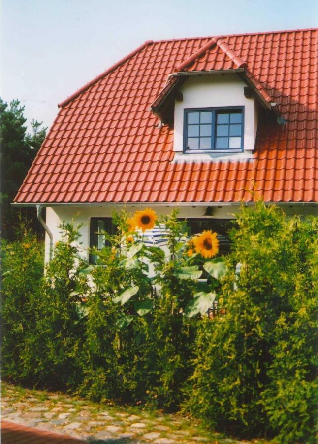 Appartamento Lindenstr_32B Zingst Esterno foto